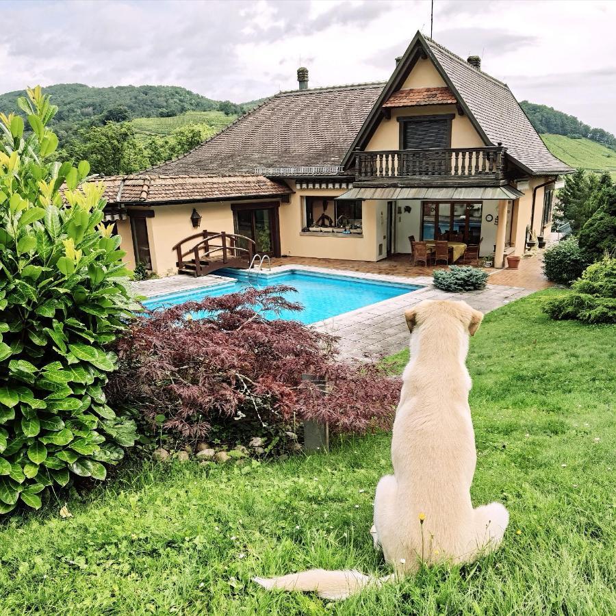 Chez Aude Apartamento Andlau-au-Val Exterior foto